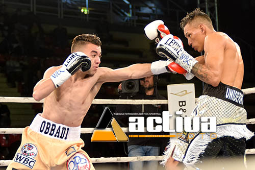Titoli UE Boxer Italiani: Obbadi vs Harris si farà in Italia, estero per Geografo e Kolaj #ProBoxing