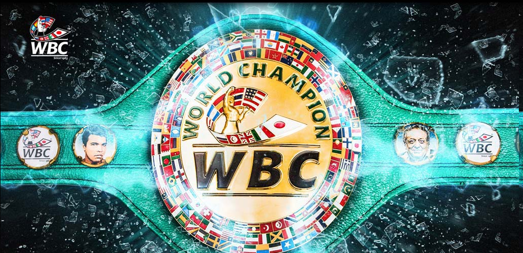 8 Boxer Italiani Nelle Classifiche WBC Novembre 2017 #ProBoxing