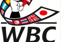 7 i Boxer italiani nelle classifiche WBC Gennaio 2018 #ProBoxing