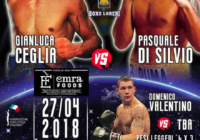 Tutto pronto per la sfida UE Leggeri tra Ceglia e Di Silvio – Domani Diretta TV su SportItalia #ProBoxing