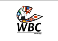 12 Boxer nei Ranking WBC Febbraio 2019 #ProBoxing