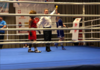 Feliks Stamm 2019: RISULTATI MATCH AZZURRE Day 2  #ItaBoxing