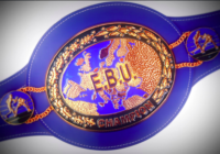 Titoli Europei e UE: Situazione Boxer Italiani (AGG. 3/6/2020) #ProBoxing