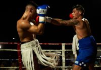 Mantova Boxing Night: Bella serata di boxe a Palazzo Te