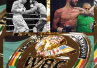 Il 17 novembre p.v. a Rovigo Tassi vs Rigoldi per il WBC Internazionale PIUMA
