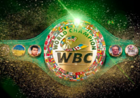 17 i Boxer italiani nelle classifiche World Boxing Council di Dicembre 2024 .